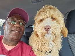 Alright AZ happy campers, I've had a few happy neighbors because of a  natural bug spray I sell. It's called Terrashield, made from essential  oils. I figured many in this group might