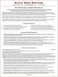 Free Executive Resume Sample For Hr Vp Doc 72kb 2 Page S