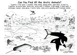 Antarctica Coloring Page Antarctic Animals Coloring Pages Pages Antarctic Animals Coloring Sheets Antarctic Animal Arctic Animals Polar Animals Animal Habitats