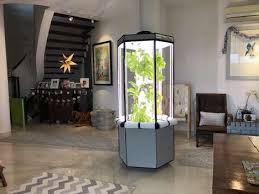 Choose from among these options Growth Accelerating Vertical Gardens Indoor Gardening Solution