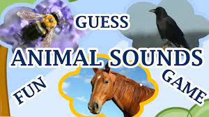 Guess The Animal Sound Infantil Animal Sounds Fun Games For Kids Animal Sounds Game