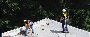 Advanced wildlife & pest control: Get Bats Out Fort Wayne In Home Facebook