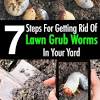 Use dish soap on the lawn another natural remedy is dish soap to get rid of grubs on the lawn. 1