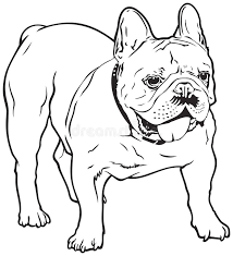 Wysokiej jakości kolorowanki dla dzieci. Franzosische Bulldoggen Hunderasse Vektor Abbildung Illustration Von Tier Abbildung 47074428