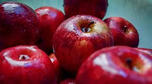6,678 free images of apple fruit. An Apple A Day Keeps Diabetes Away Lifestyle News The Indian Express