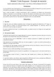 Achetez construire son projet professionnel: Module 5 Aide Soignante Exemple De Memoire Docsity