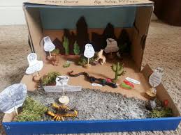 Desert Biome In A Box Sonoran Desert Biome Shoebox Diorama Ecosystems Projects