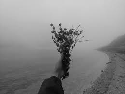 We did not find results for: Pin By ð' ð'¡ð'Žð'Ÿð'ð'¢ð'ð'˜ð'  On Dead Poetesses Society Gray Aesthetic Aesthetic Colors White Aesthetic