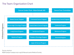 79 factual organizational chart of bench philippines