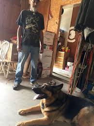Maybe you would like to learn more about one of these? Https Www Thealpenanews Com News Local News 2019 07 Court Pardons Dog