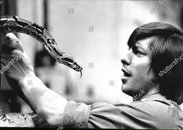 Terry March Boa Constrictor London Zoo Editorial Stock Photo