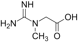 Kreatin Wikipedia