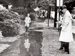 Who Killed Carol Jenkins?