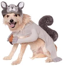 Rubies Squirrel Pet Costume