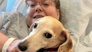 Fundraiser by Lynn Connor : Help Lynn with Expenses