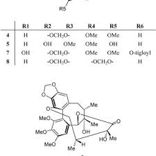 Image result for Equilabium petiolare