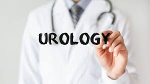 Urologie Niere Blase Und Das Mannliche Geschlecht Rudolfinerhaus