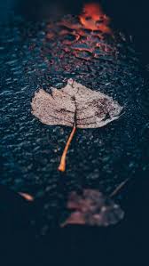 3437 رتوجد خلفيات كثيره للشاشه يمكن ان تضعوها وهالصورة من ما يحمل صورة. Ø®Ù„ÙÙŠØ§Øª Hd 2021 Ø®Ù„ÙÙŠØ§Øª Ù„Ù„Ø¨Ù†Ø§Øª ÙˆØ§Ù„Ø´Ø¨Ø§Ø¨ Ø§Ø­Ø¨Ùƒ Ù…ÙˆØª