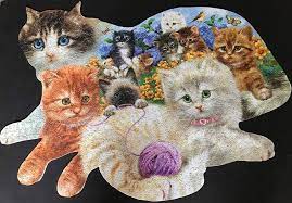 We did not find results for: Have You Tried Shaped Jigsaw Puzzles