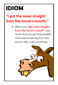 Idiom Straight From The Horse S Mouth English Idioms Idioms And Phrases Language Vocabulary