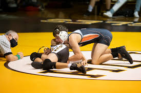 Wrestling notes: McHenry turns in career-high finishes during third-place  effort at Batavia Invite