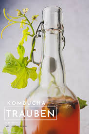 Pin Auf Kombucha Wissenswertes Rezepte Und Inspiration
