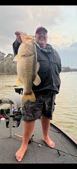 Bussey Brake Lunkers