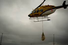 Up close with polar bears and snow leopards in docu-series ...