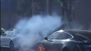 Actress Mary Mccormack Films Moment Tesla Model S Catches Fire Us News Sky News