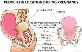 Chiropractic Spinal Manipulation For Low Back Pain Of Pregnancy A Retrospective Case Series