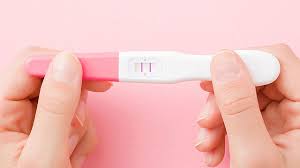 Wie genau ist ein schwangerschaftsfrühtest? So Funktioniert Ein Schwangerschaftstest Folio Familie