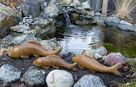 Swimming Koi Large Medium Small In Ancient Stone In 2021 Fish Garden Front Yard Garden Design Japanese Garden Design