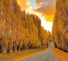 Budget Campervan Hire The Best Way To See Australia Australian Road Trip New South Wales Trip