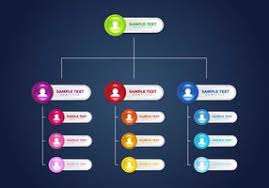 Organization Chart Free Vector Art 17 417 Free Downloads