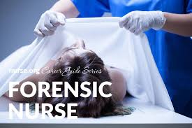 Find your ideal job at seek with 603 jobs found in … 6 Steps To Becoming A Forensic Nurse Salary Programs