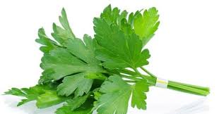 Daun ketumbar seledri dan peterseli sering dianggap sama oleh sebagian orang. Something By Tauhhid Kenal Tak Mana Satu Parsley Mana Satu Coriander