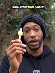 Newborns Guess The Ginger Review