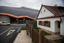 Orban Hazat Orzi Meg A Felcsuti Pancho Arena Biztonsagi Szemelyzete Is 168 Ora