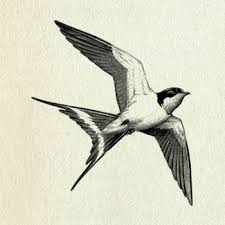 Freedom Bird Tattoo On Hand New Tattoo Cute Animal Illustrations 48 Ideas Swallow Bird Tattoos Freedom Bird Tattoos Swallow Tattoo