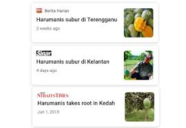 It first hit the newsstands on 31 march 2006 in the east coast states of kelantan and terengganu before expanding its distribution to the state of selangor and the federal. Perlis Is Battling Other States Over Mangoes Trp