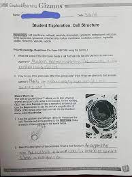 5 relating genetic disorders and disease to patterns of genetic inheritance examples. Cell Division Gizmo Answer Key Biou4 Stguide Cell Division Gizmo Answers Activity B