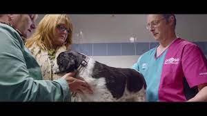 Feb 26, 2018 · to qualify for free or subsidised treatment, pet owners must be in receipt of certain benefits, such as housing benefit or council tax support, and live within the catchment area of a pdsa hospital or clinic. What We Do Pdsa