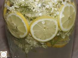 Un fel de limonada cu flori cea mai buna socata era cea din copilarie, facuta de bunica. Retete Culinare Retetetraditionaleromanesti Ro Socata Reteta