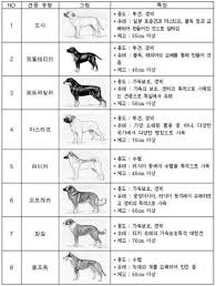 Dogs are some of the most beloved pets for us to have around. List Of Aggressive Dog Breeds Requiring A Muzzle Under New Law R Korea
