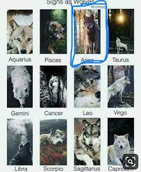 Sagitario Zodiac Signs Animals Zodiac Signs Gemini Zodiac Signs Astrology