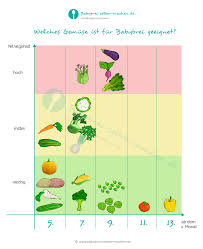 Sie ist jetzt 13 monate alt und. Welches Gemuse Ist Ab Wann Fur Babybrei Geeignet Infografik