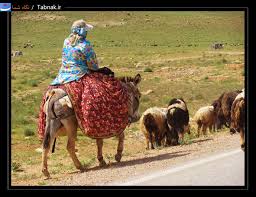 Image result for u202bکوچ ایل قشقاییu202clrm;