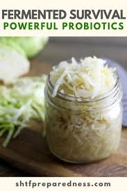 Fermented Survival Powerful Probiotics Even Simply Preserving Things Can Turn Them Into Powerful Fermented Fo Food Fermented Foods Pineapple Health Benefits