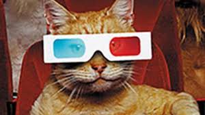 Kedi 3d Animal