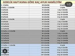 25 haftalik gebe kac aylik olur